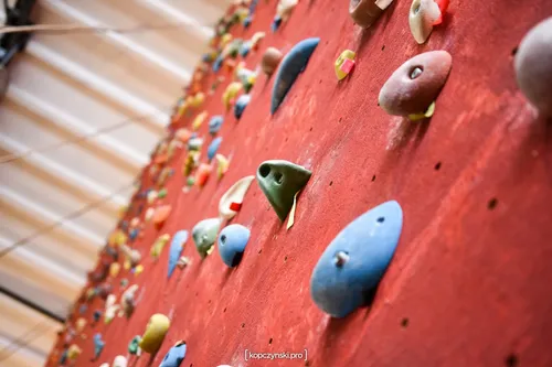 WSPINALNIA ELBLĄG sp. z o.o.