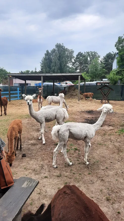 Bajkowa kraina - Sala Zabaw / Bajkowe Ranczo