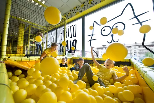 Dzikie Pląsy - Borkowo